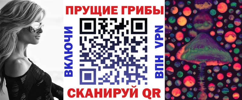 Псилоцибиновые грибы мицелий  Купить закладки  Бикин 