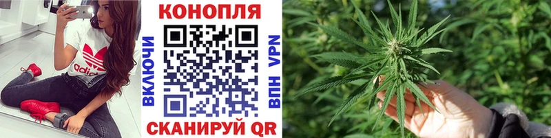 Купить где  Бикин  Канабис Ganja 